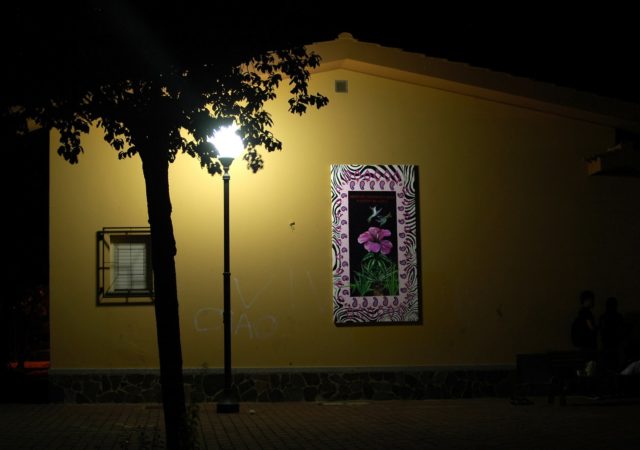 Caro Giacomo 2008