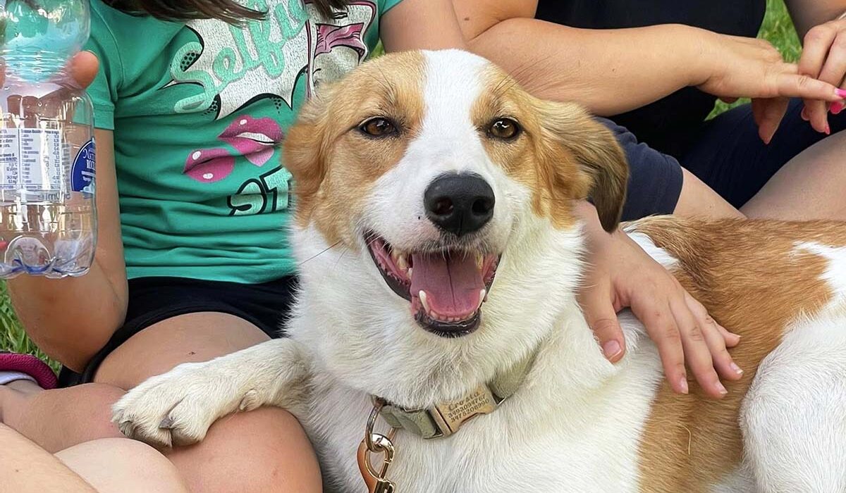 Il paese dei nuraghi e delle stelle